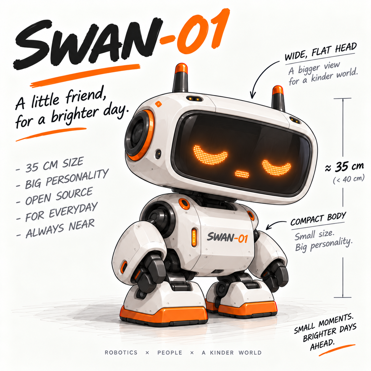 Temporary visual reference for SWAN-01